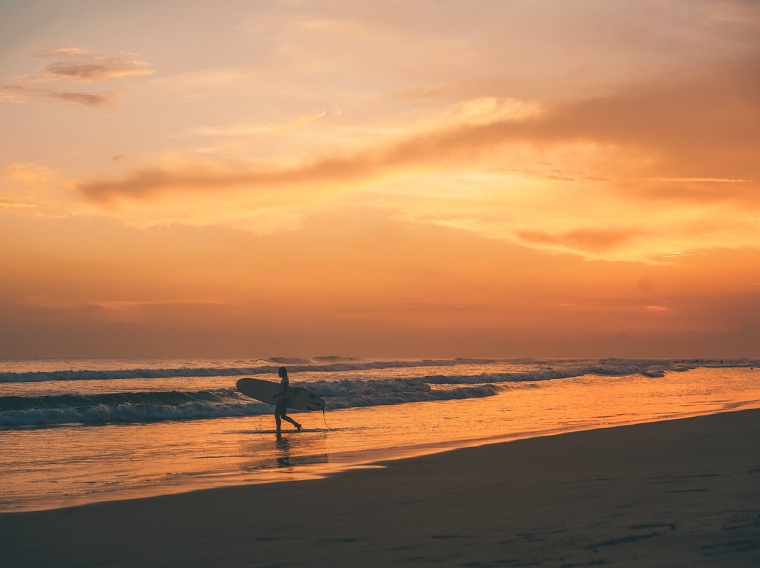 Solas Surf
