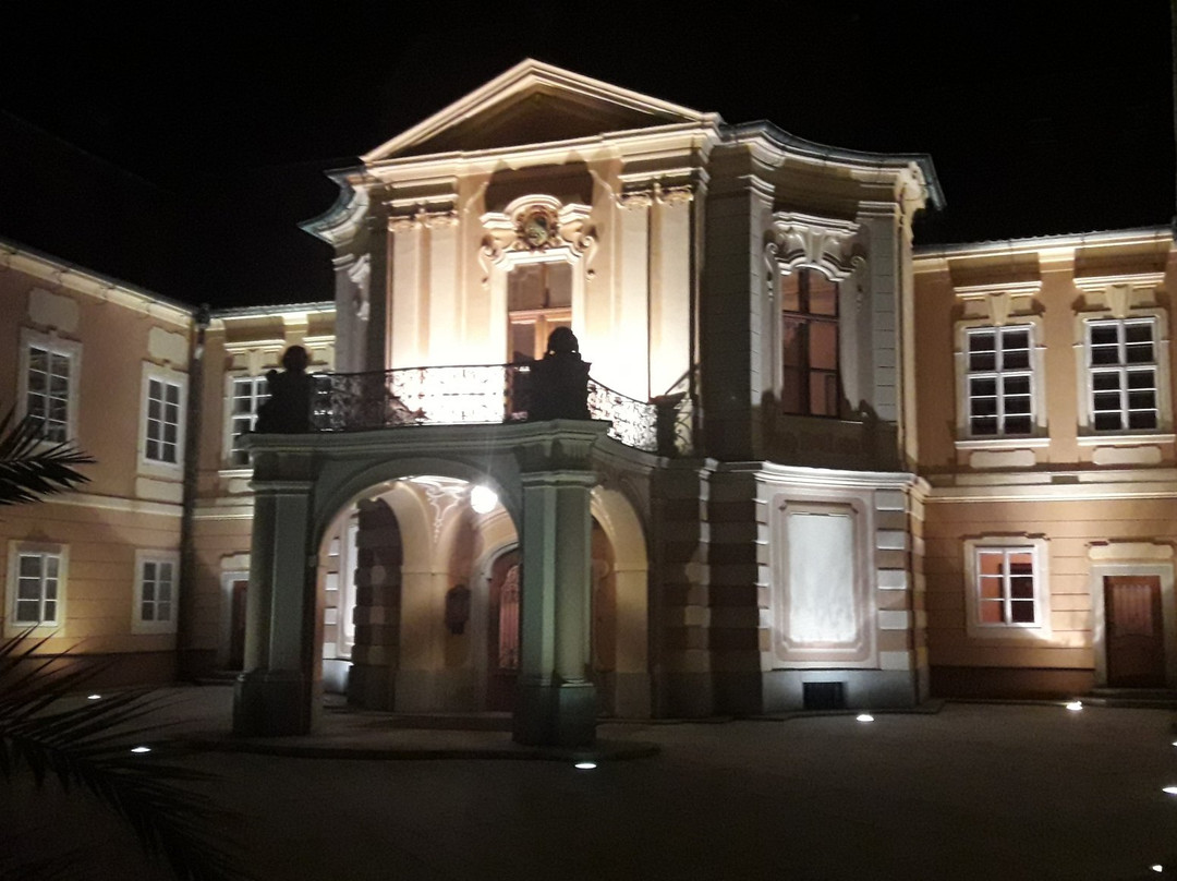 Hotel Zamek Stirin主图