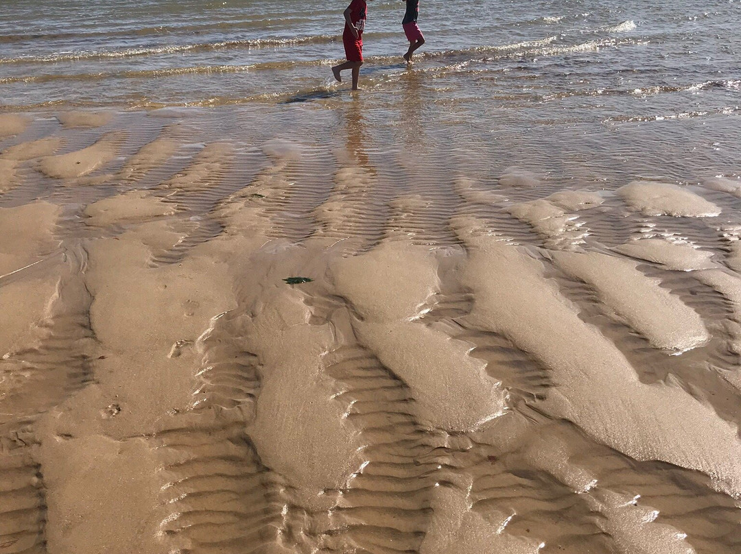 Winterton Coastwatch景点图片