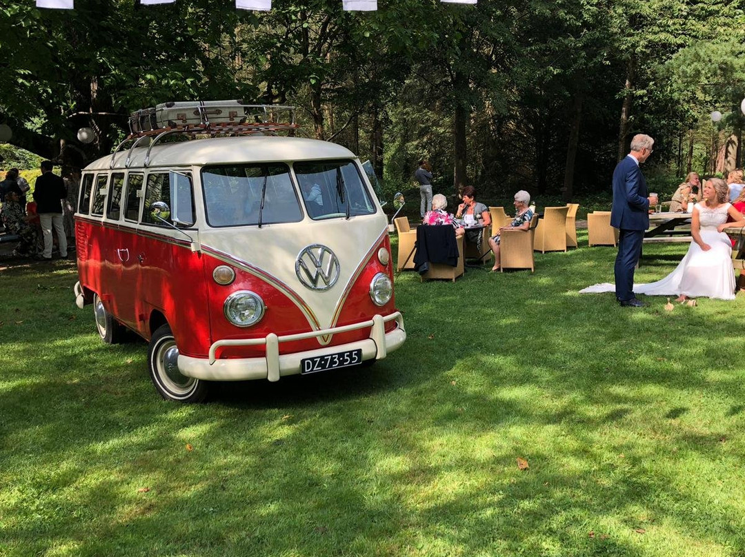Vintage Volkswagen Verhuur景点图片