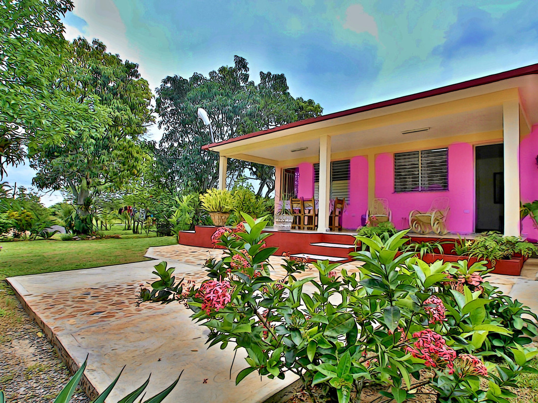 Los Palacios酒店住宿-Casa Camila