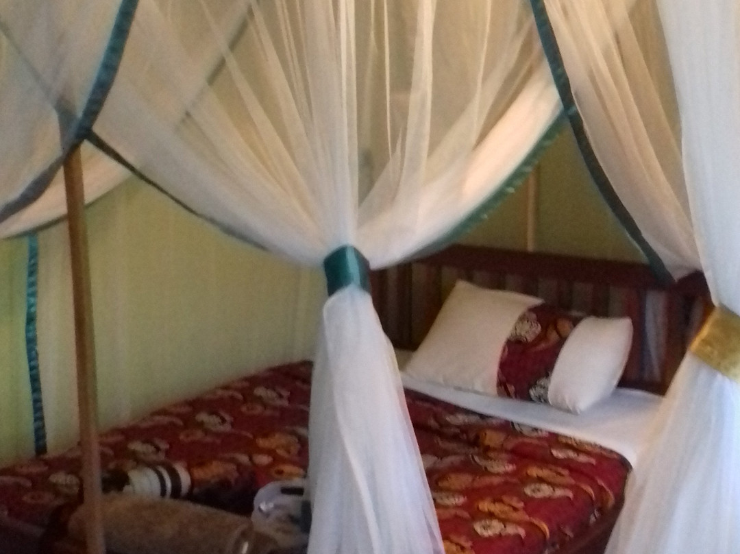 Kibale Homestay主图