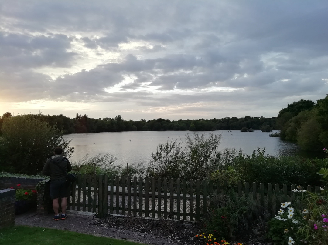 The Shimmerings主图