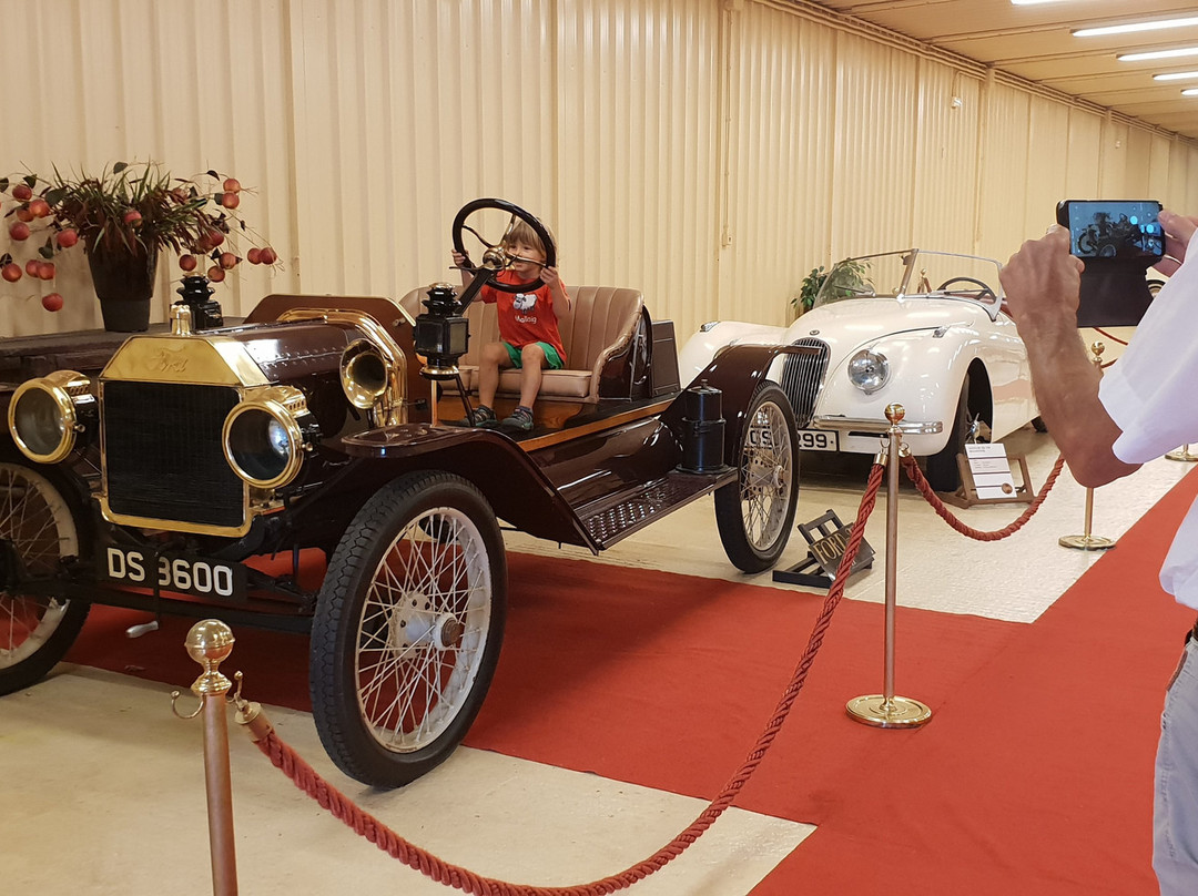 Museo de Coches Clasicos y Antiguos Torre Loizaga景点图片