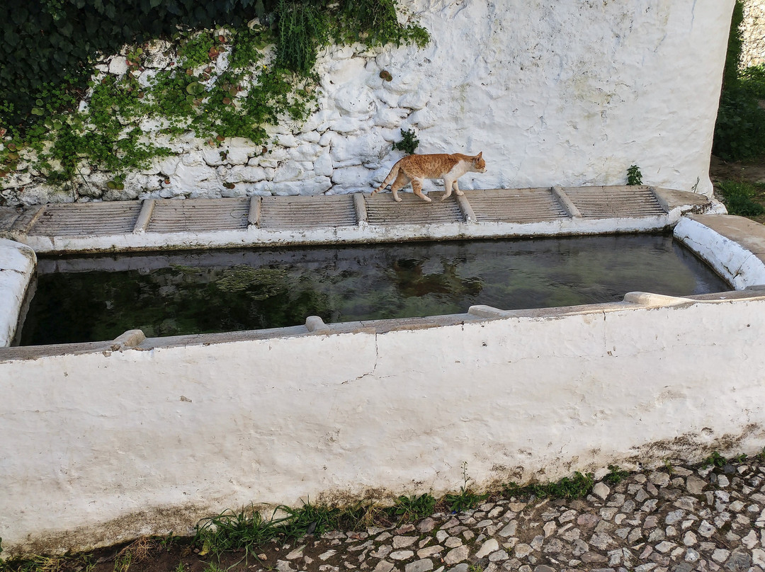 Fuente Vieja景点图片