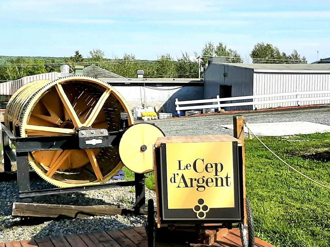 Le Cep d'Argent-梅戈格必去景点
