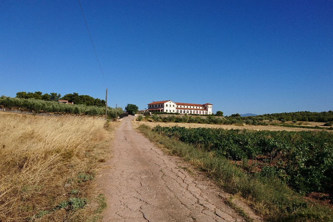 Tzivani Winery-Khalkis必去景点