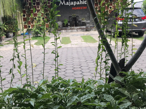 Majapahit Syariah Homestay主图