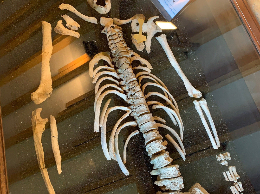 Burwell Museum & Windmill-Burwell必去景点