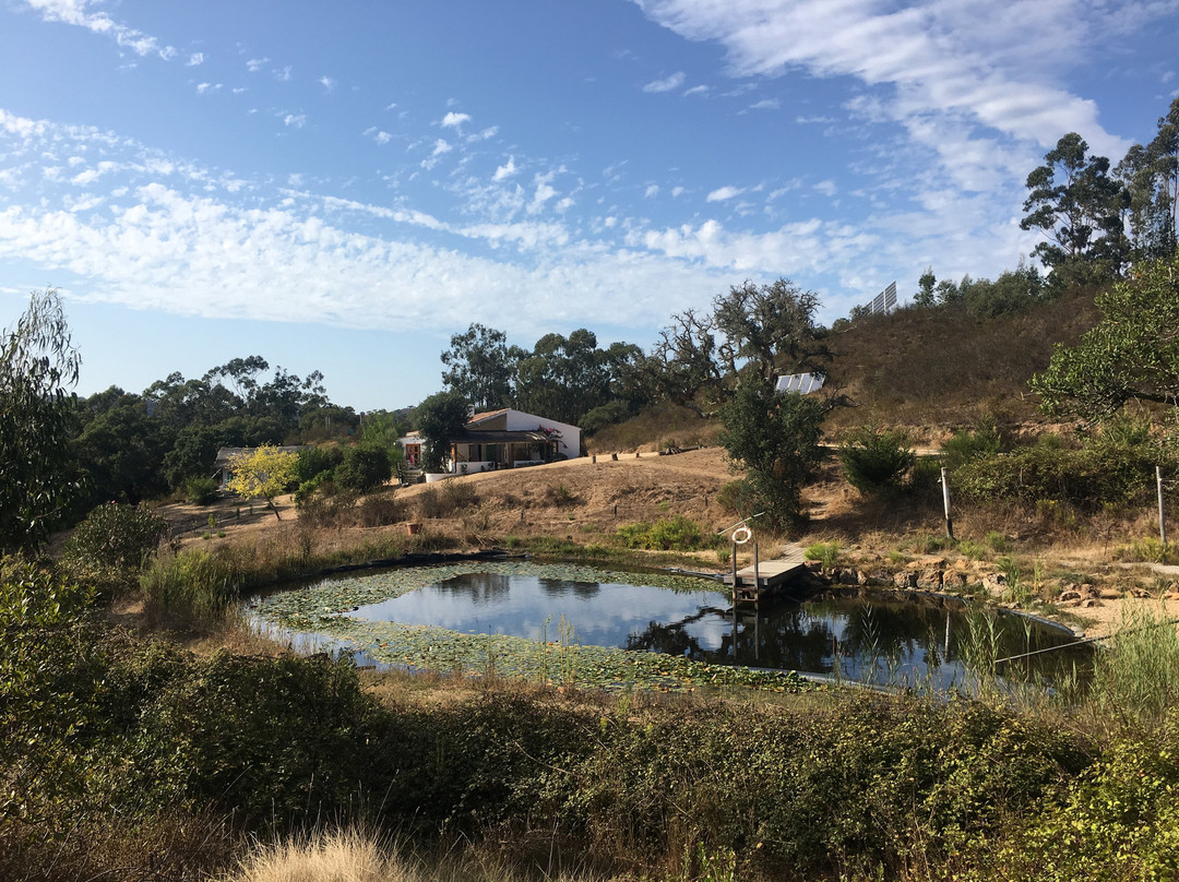 玛克希玛 - 蒙特斯费雷洛斯主图