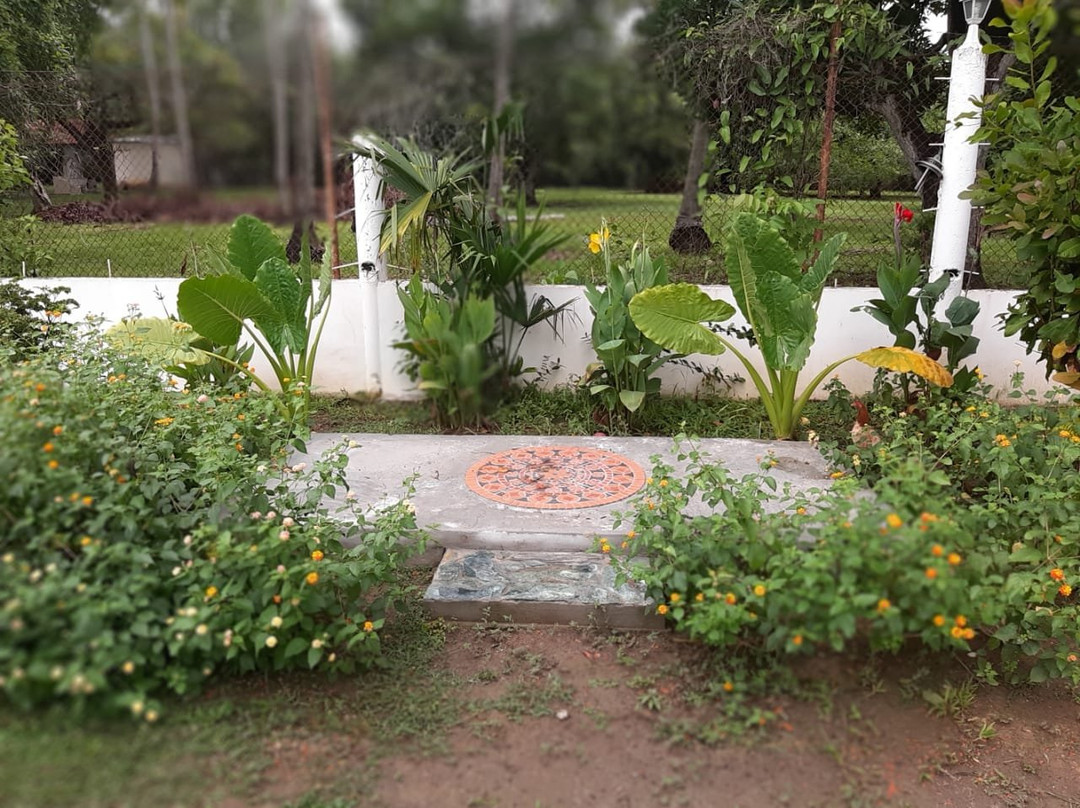 Dharma Casa Holistica主图