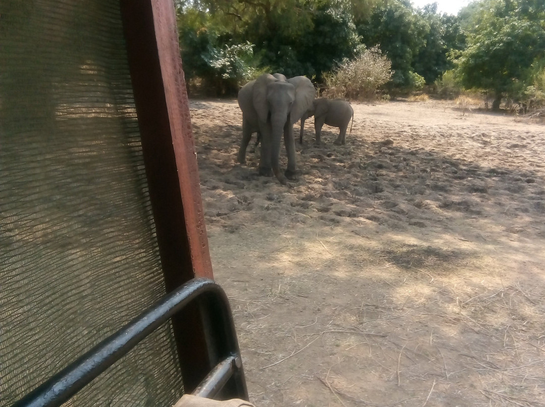 Lower Zambezi National Park-卢萨卡必去景点