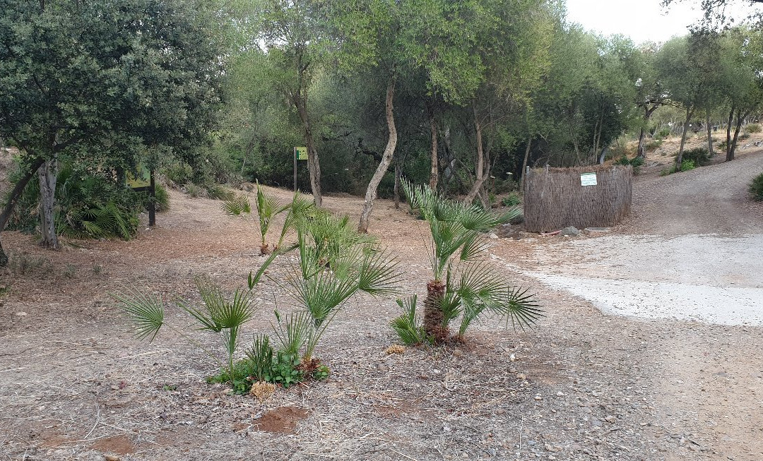 Parque Periurbano Los Cabezos景点图片