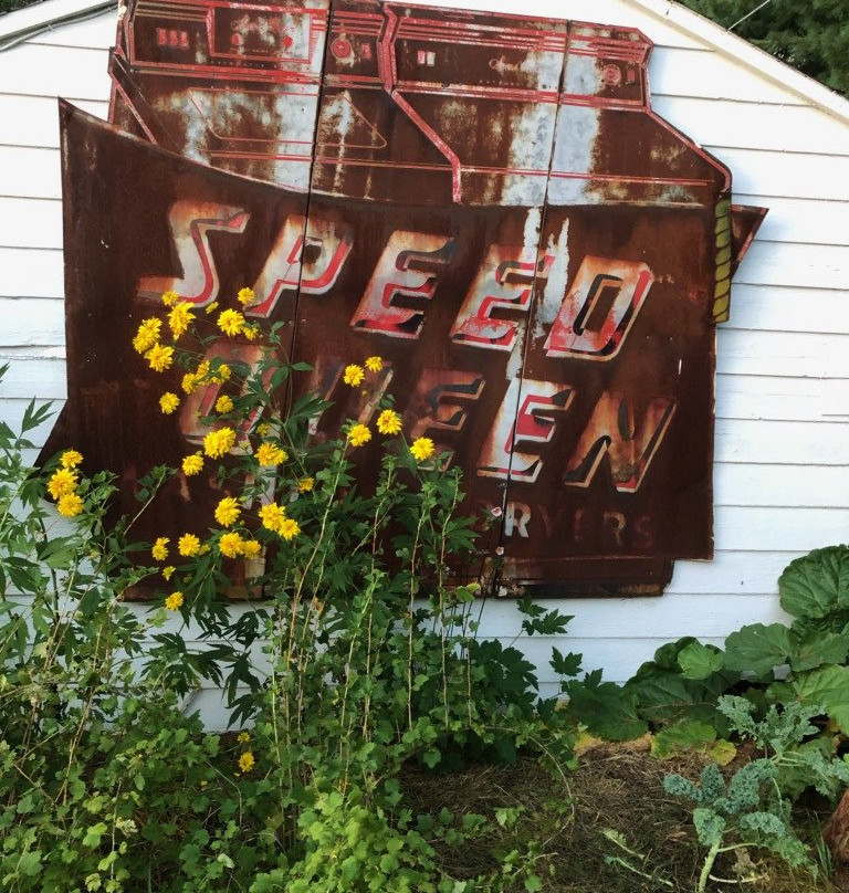 Williamston Inn Motel主图