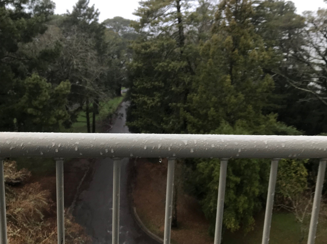 Wombat Hill Pioneer Memorial Tower景点图片