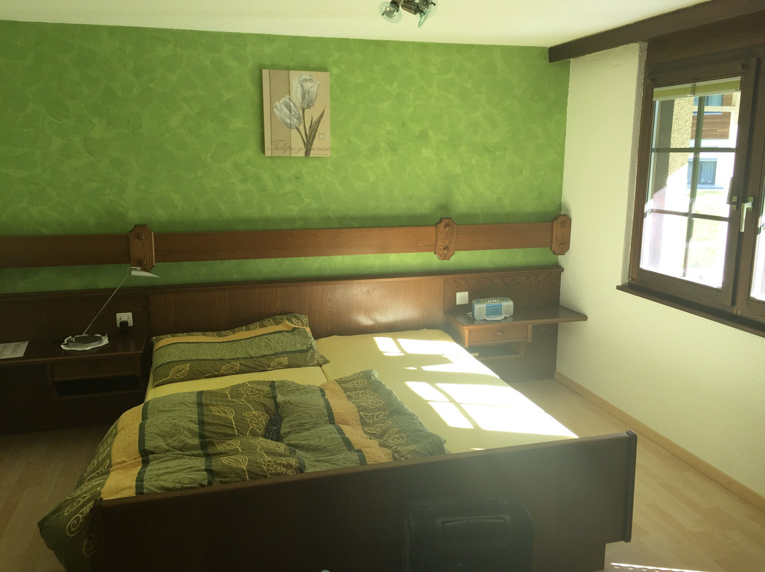 Hotel Bärgsunnu主图