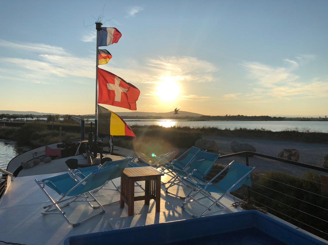 Alphonsia Maria主图