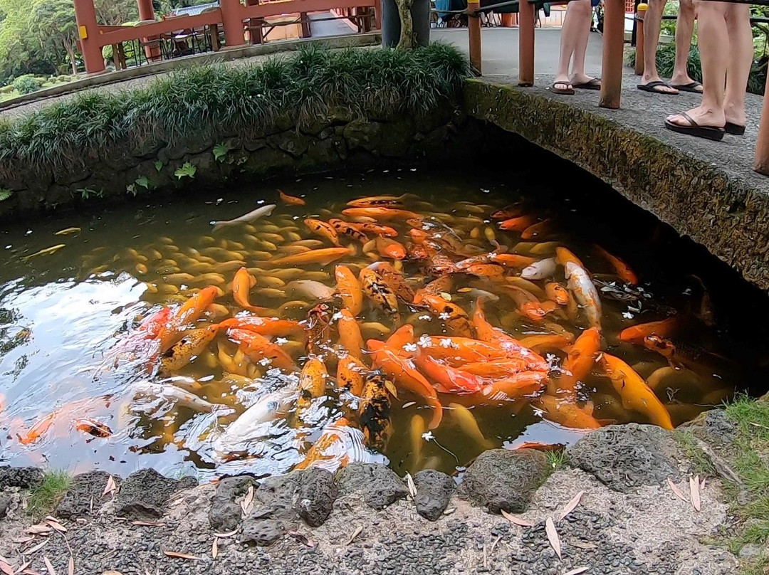 Keawe Adventures-火奴鲁鲁必去景点