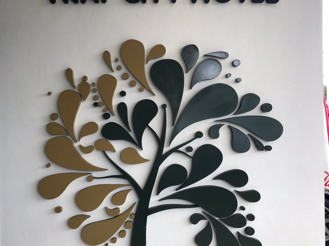 Trat City Hotel主图