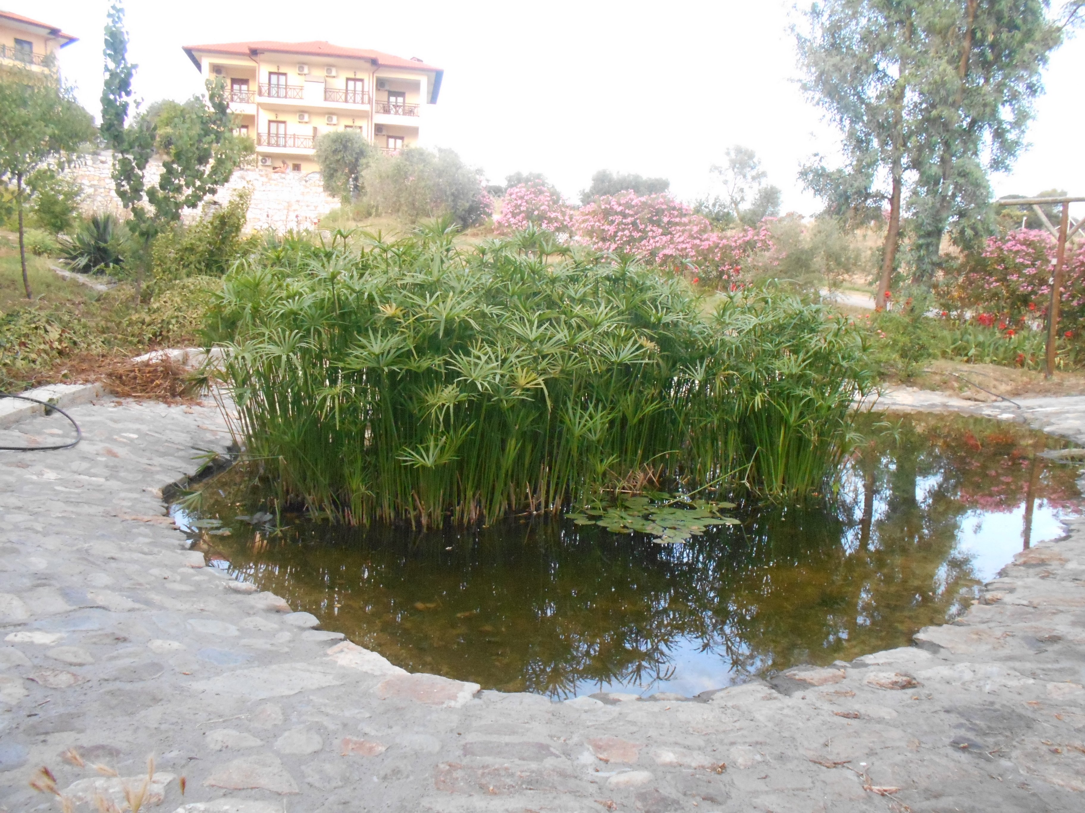 Athorama Hotel-浴室