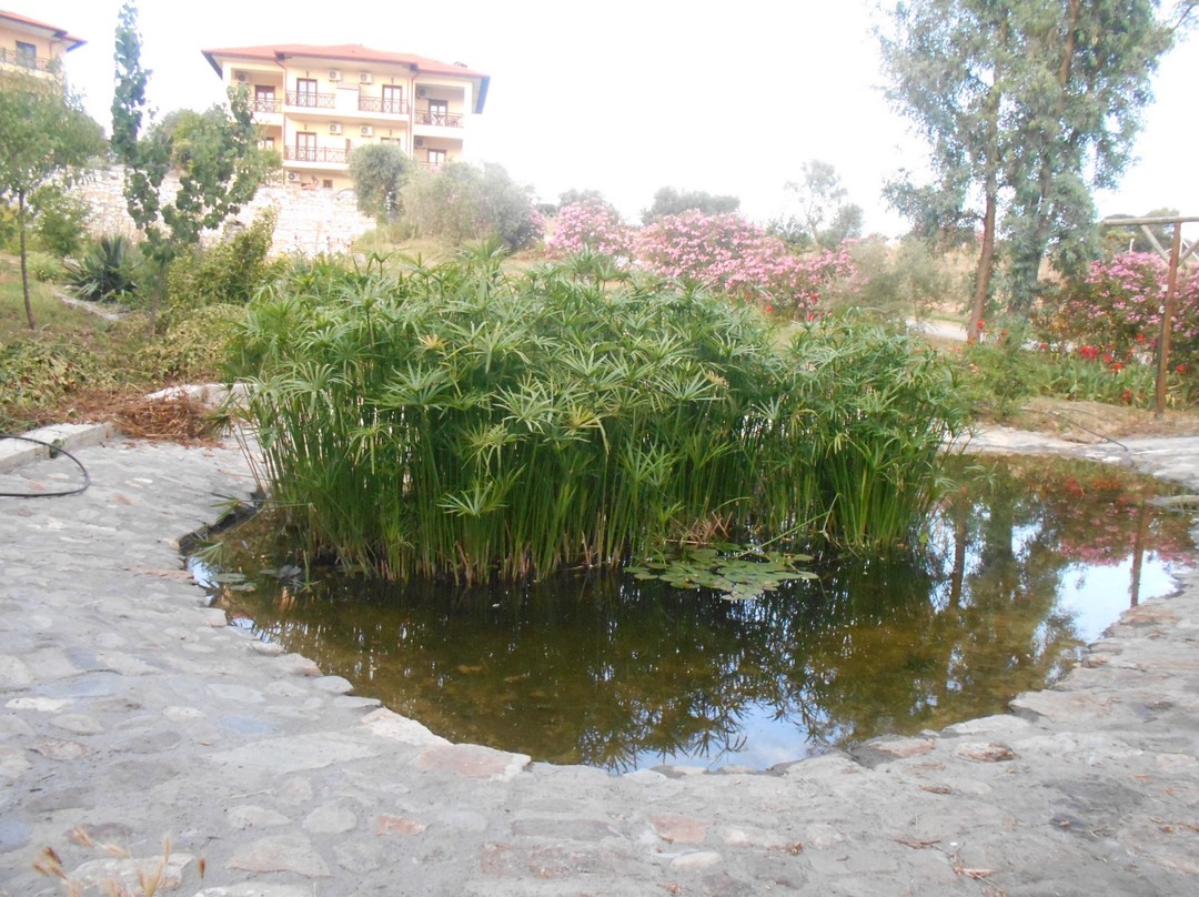 Koumitsa酒店住宿-Athorama Hotel