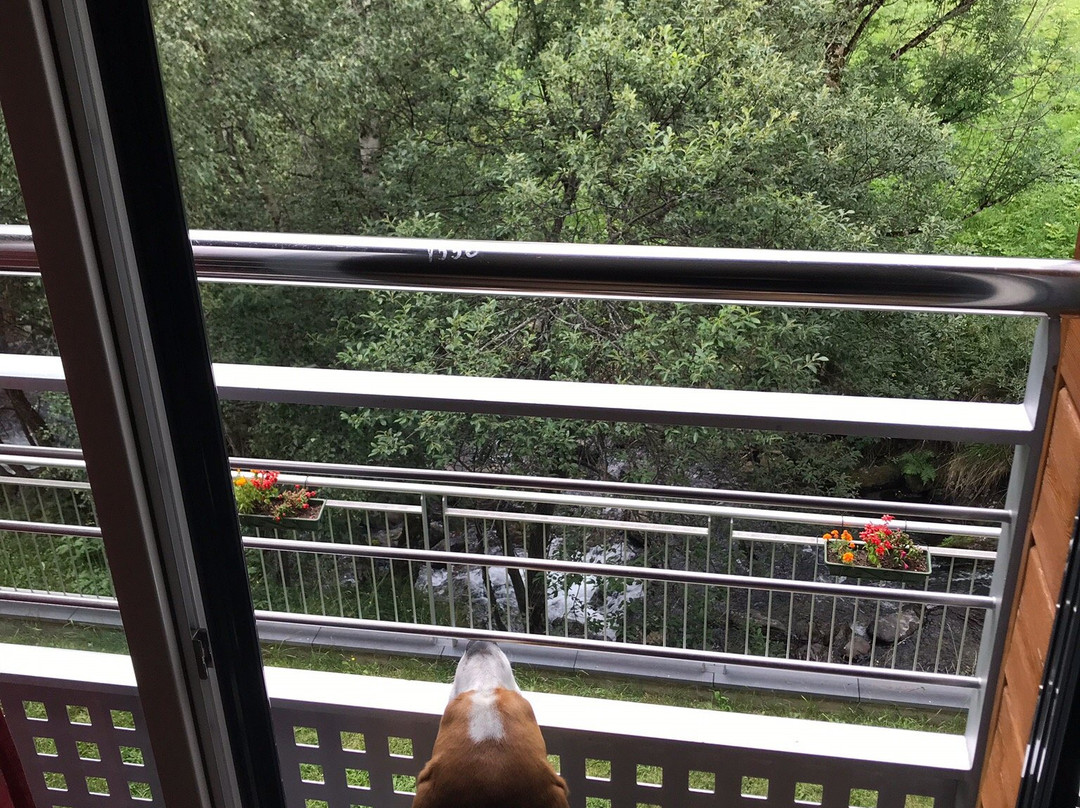 Aparthotel Rialb主图