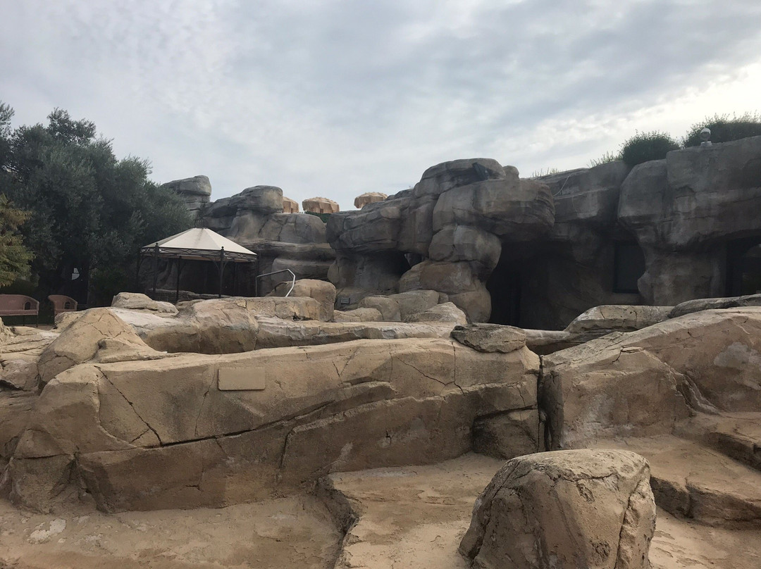 Thermae Oasis-Lido delle Nazioni必去景点