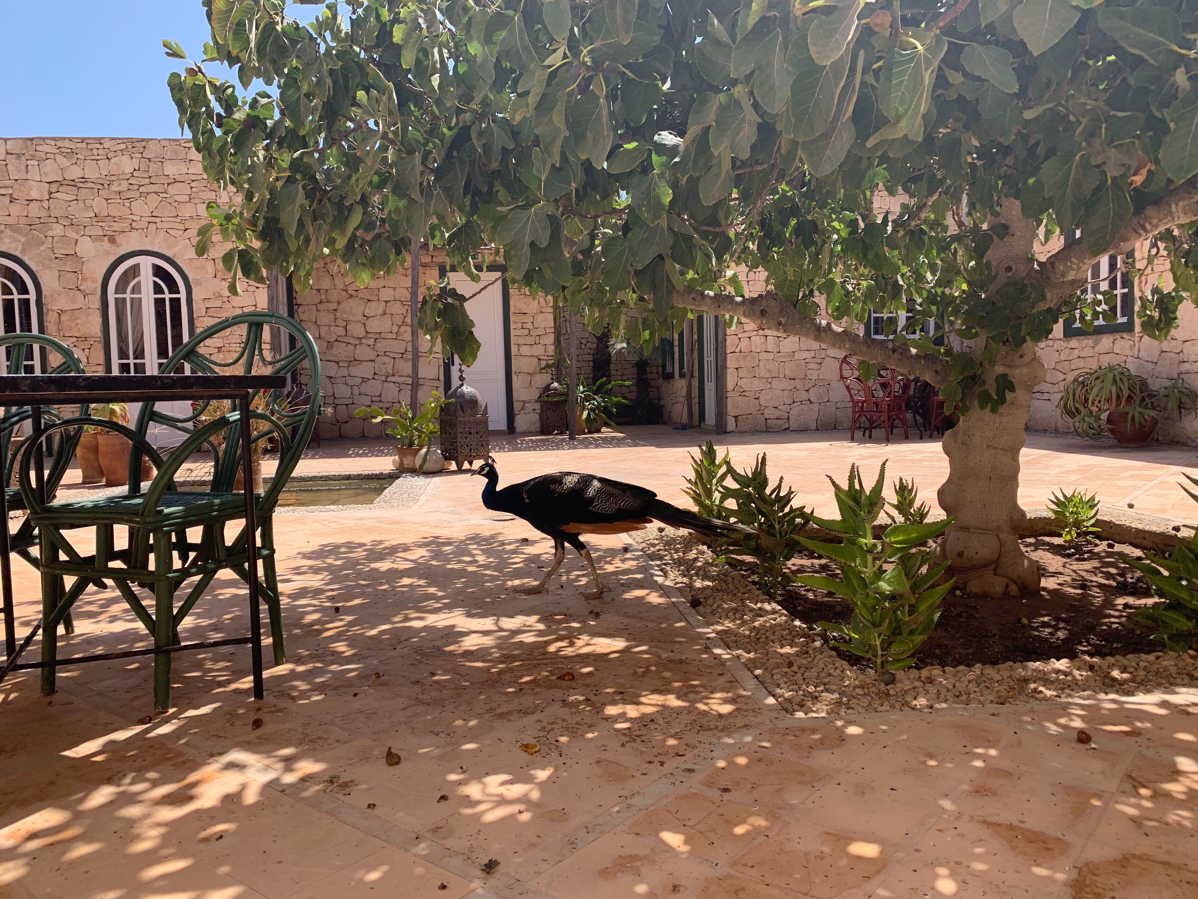 Les Jardins de Villa Maroc-浴室