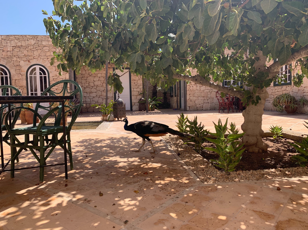 Les Jardins de Villa Maroc主图