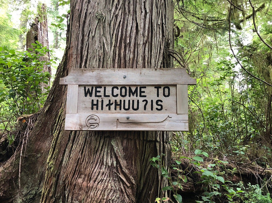 T'ashii Paddle School-托菲诺必去景点