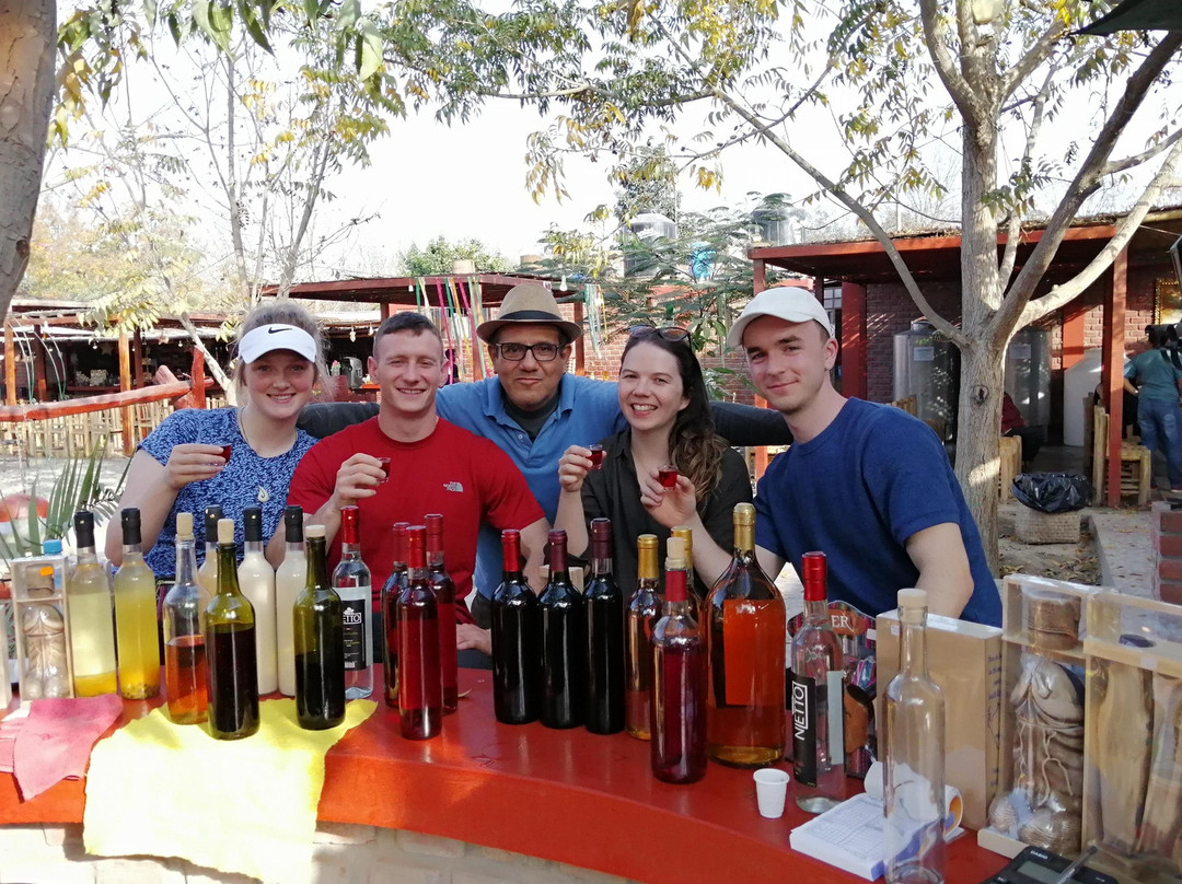 Ica, huacachina, boggies pisco food-Huacachina必去景点