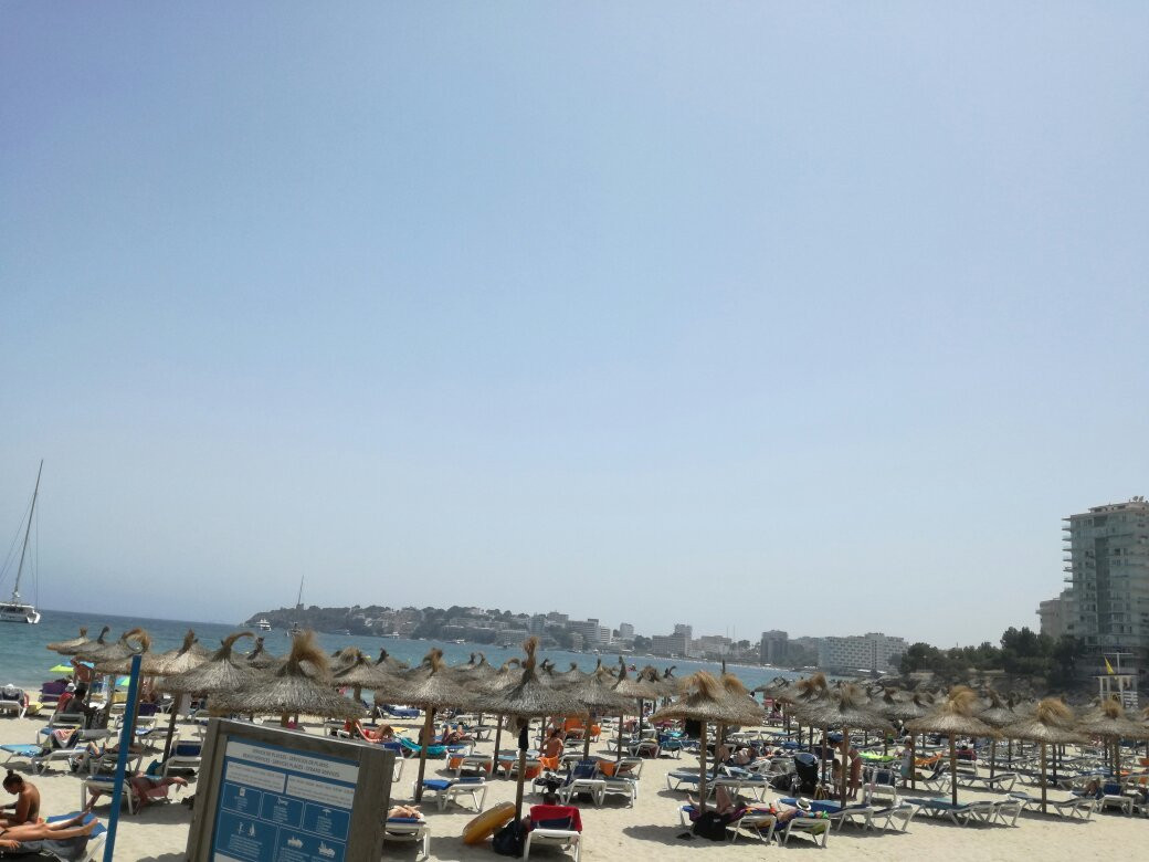 Playa Porto Novo-Palmanova必去景点