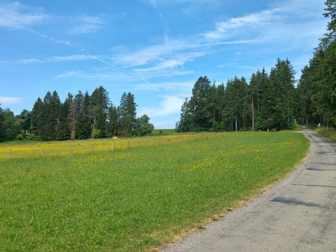 Schluehuewanapark-Grafenhausen必去景点