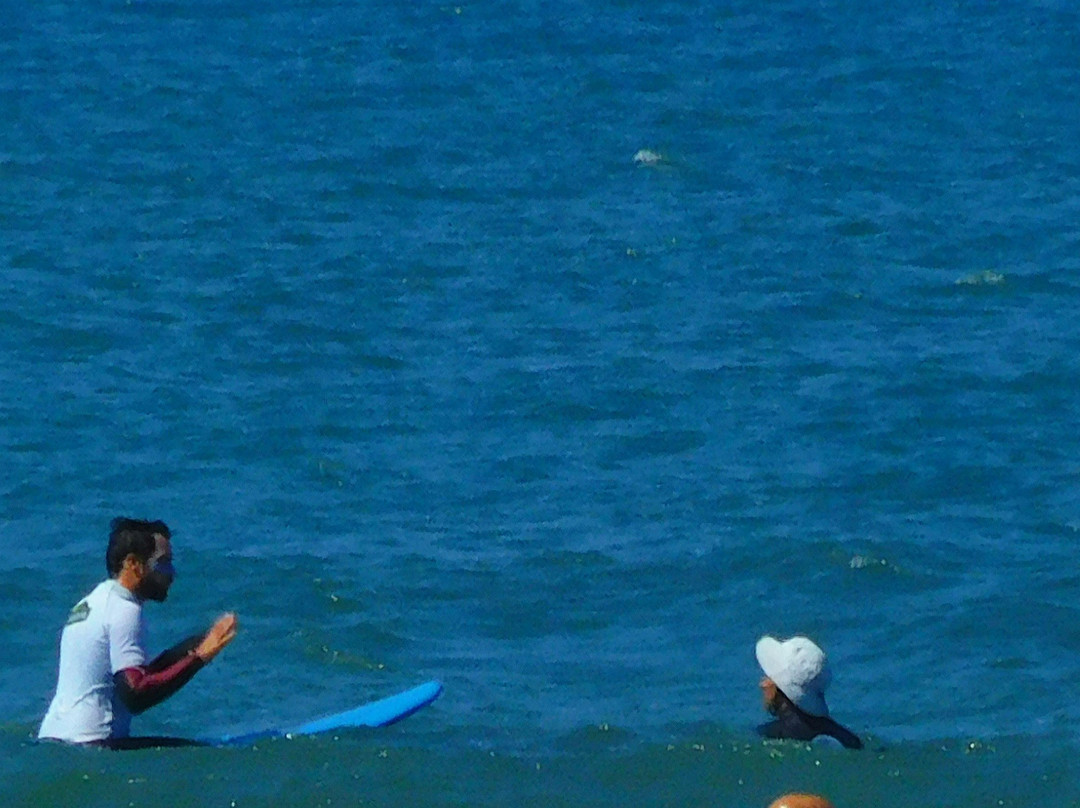 Green Wave Cascais-卡斯凯什必去景点