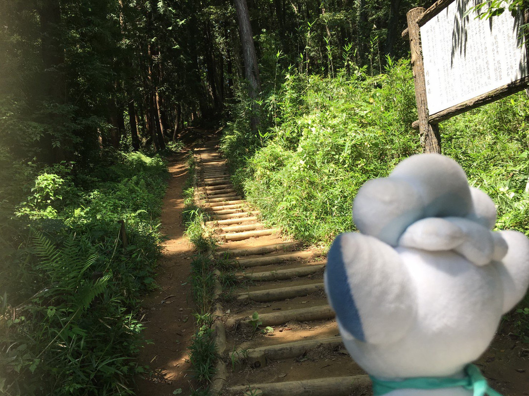 Tonosu Mountain-饭能市必去景点