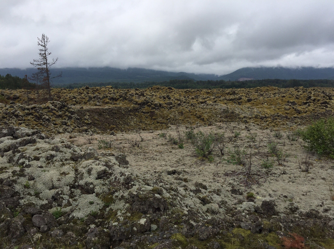 Nass Valley Bed & Breakfast主图