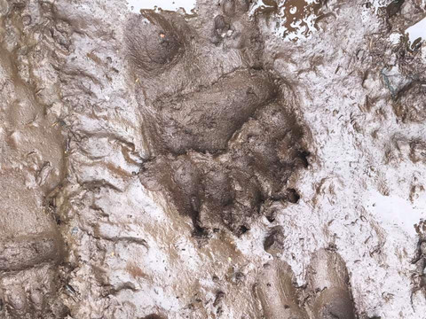 Alaska Off-Road Adventures-塔尔基特纳必去景点