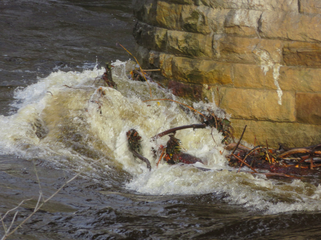 Crieff Bridge景点图片