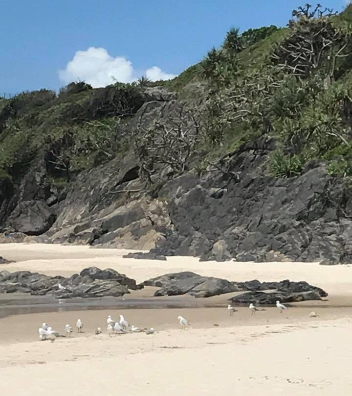Norries Headland Lions Park景点图片