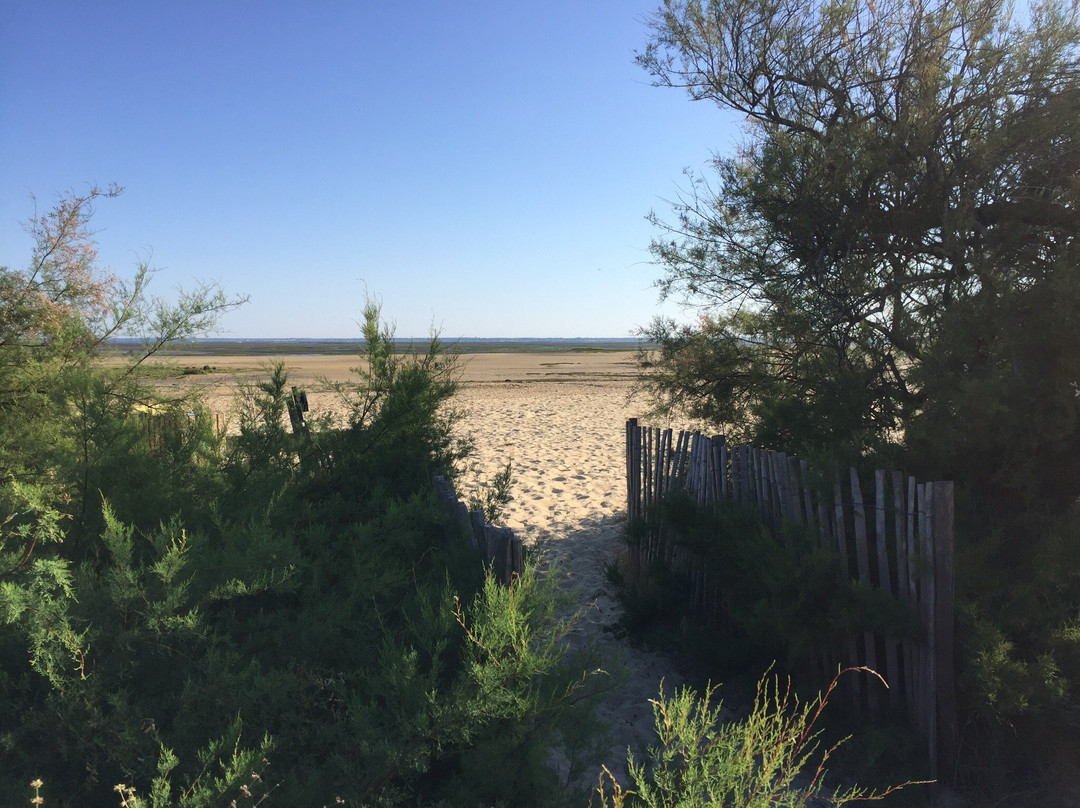 Plage De La Hume景点图片