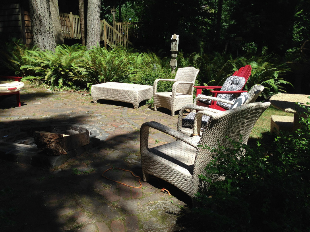 No Cabbages Bed & Breakfast主图