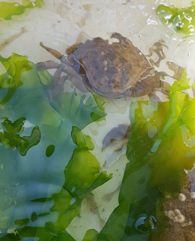 De Zee Leeft-Den Oever必去景点