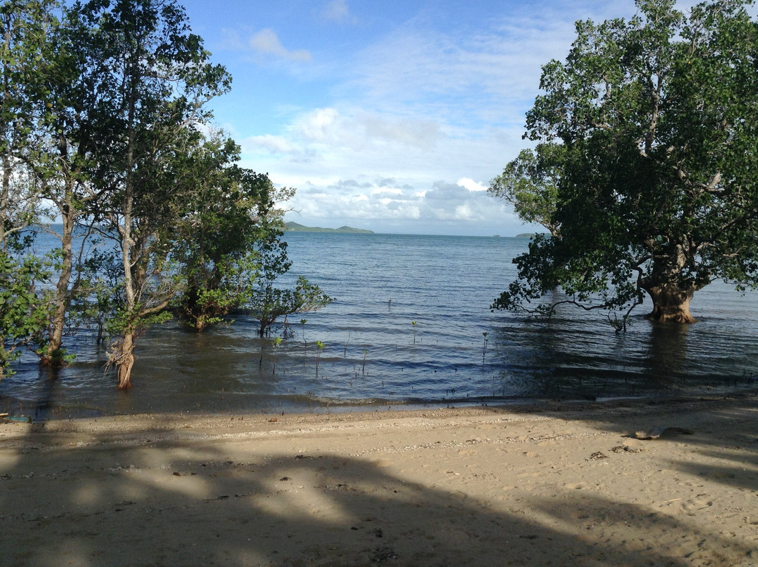 The Clara Beach主图