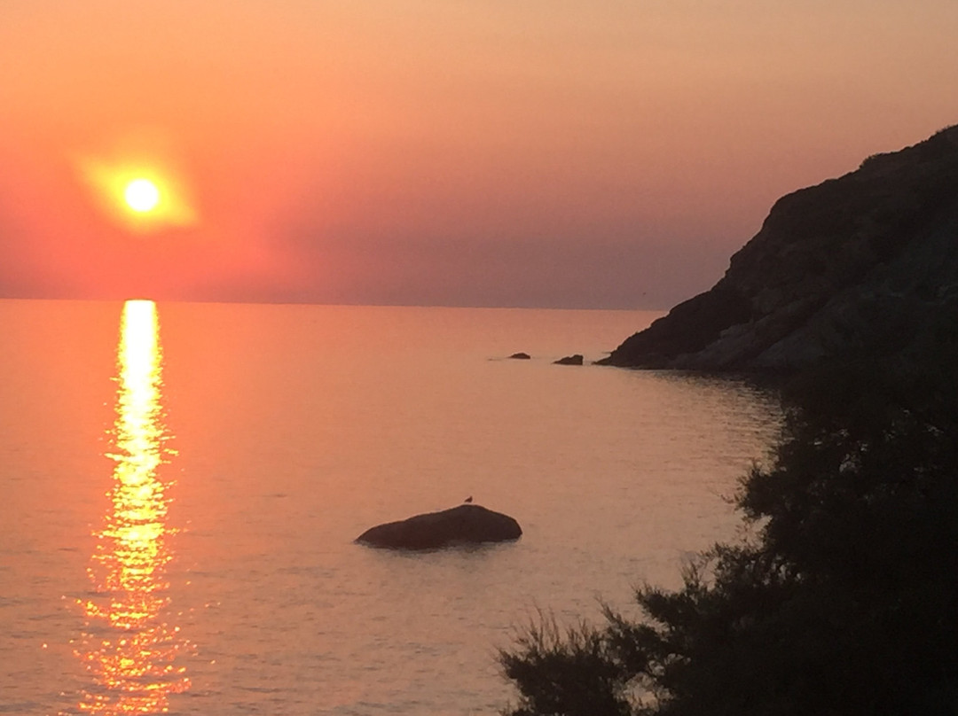 Scogliera del Calello e di Cala Maestrale景点图片