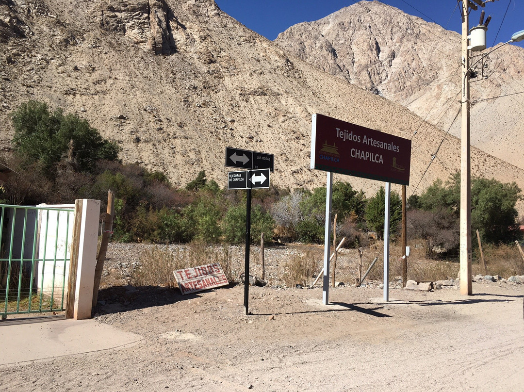 Vicuna Travel-Vicuna必去景点