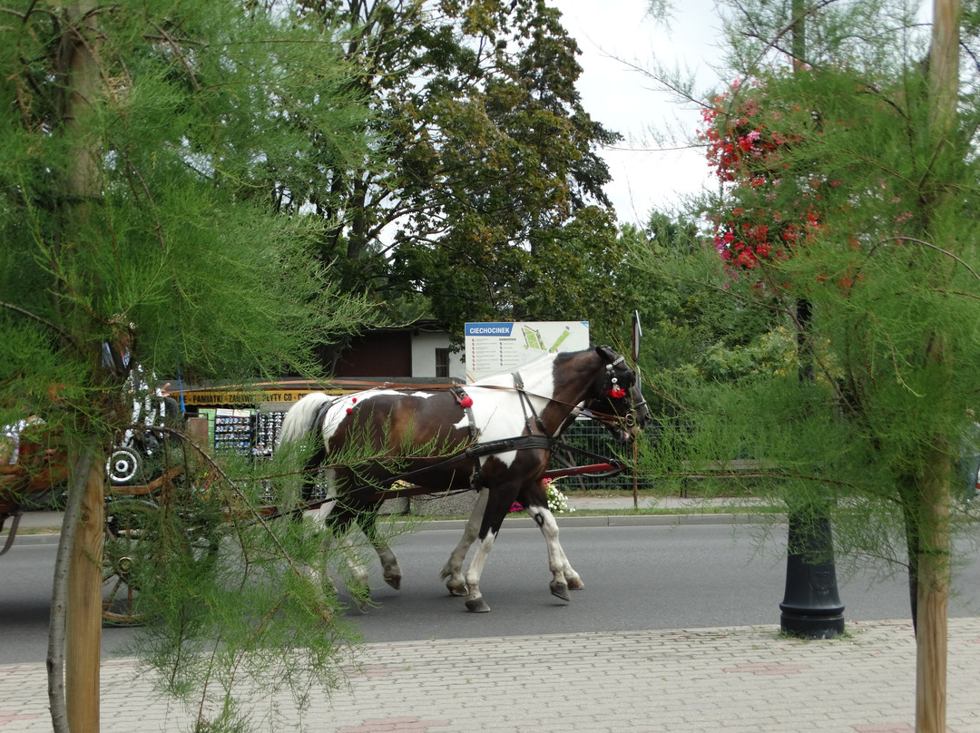 Grzybek Fountain-Ciechocinek必去景点
