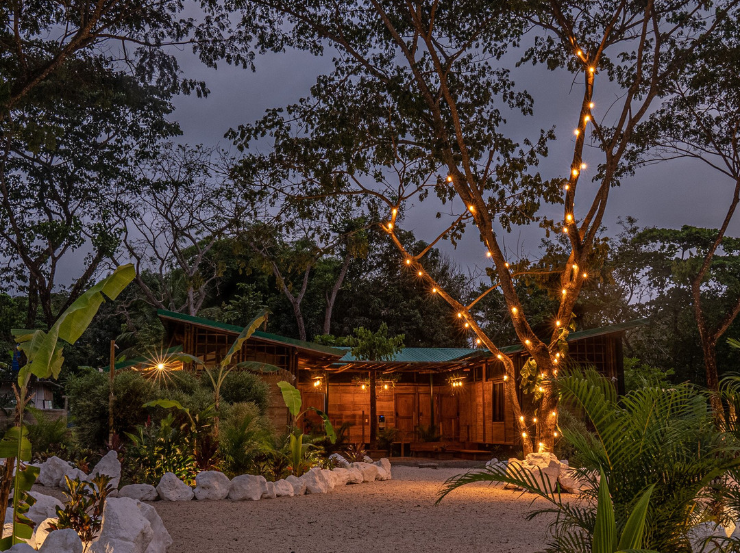 Bamboo Surf House - Hostel