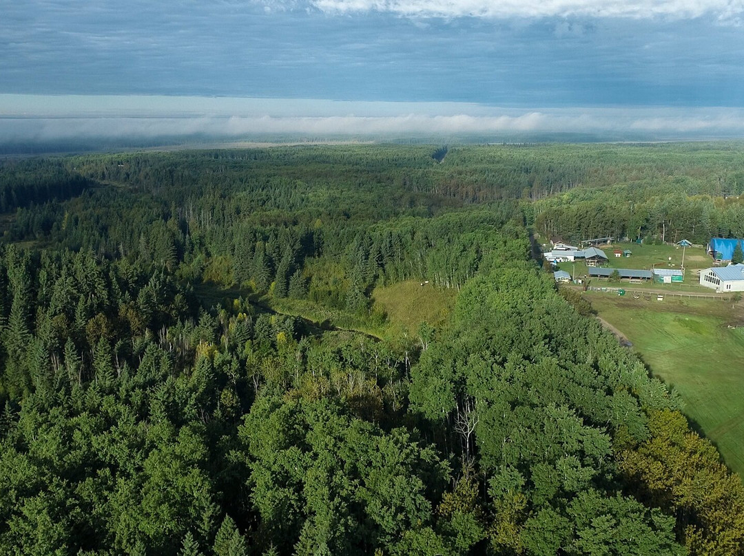 Discover Ness Creek