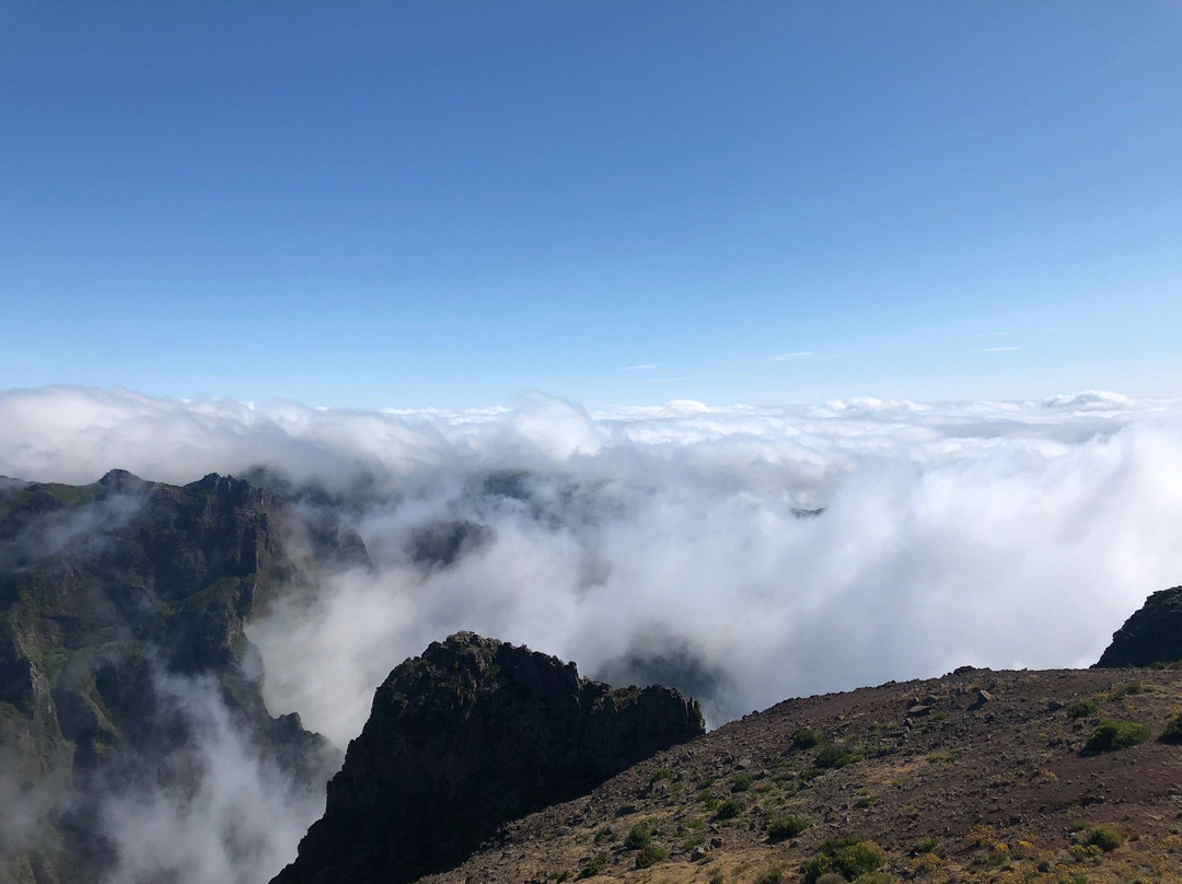 Ernesto Taxi Calheta Team-Arco da Calheta必去景点