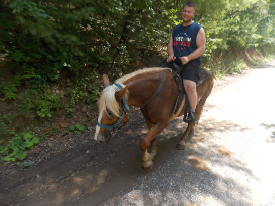 Magic Mountain Farm-温切斯特必去景点